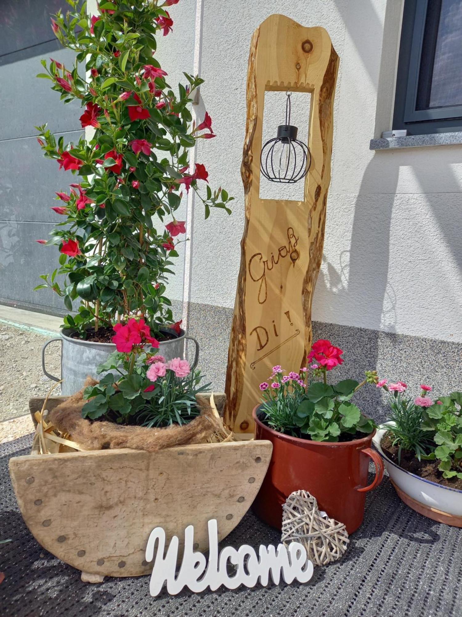 Schwab Apartment Aich (Styria)